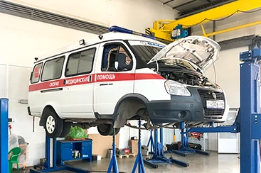 Фотография 12