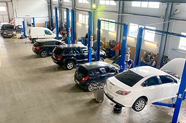 Фотография 7