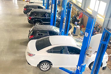 Фотография 8