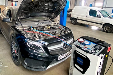 Фотография 5